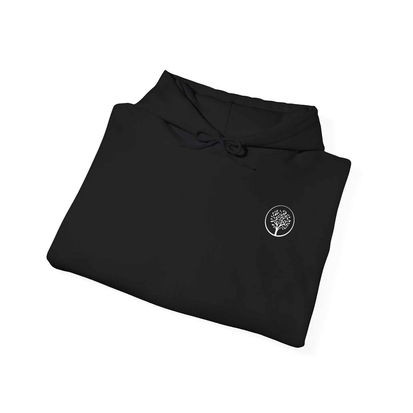 Established 2022 Hoodie