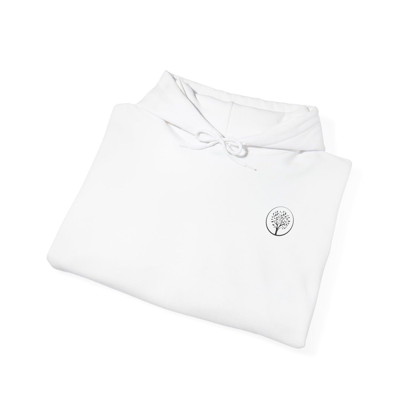Established 2022 Hoodie